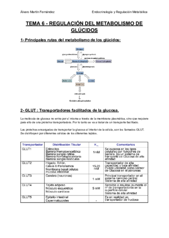 TEMA-6-REGULACION-DEL-METABOLISMO-DE-GLUCIDOS.pdf