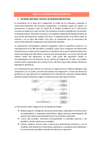 TEMA-14.pdf