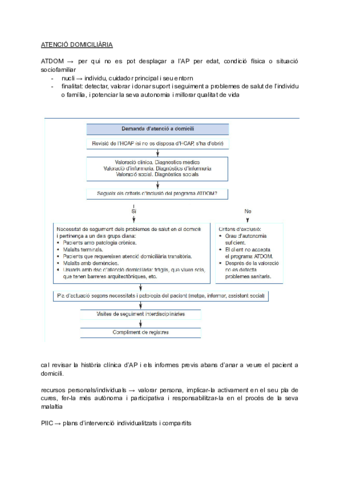 ATDOM-FAMILIAR-INTERVENCIO-i-RECURSOS.pdf