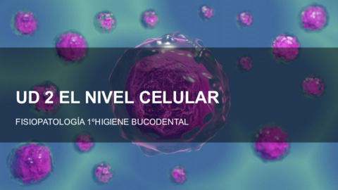 UD-2-EL-NIVEL-CELULAR.pdf