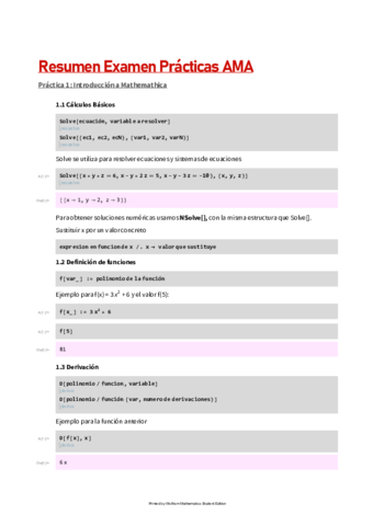 Resumen_Practicas_AMA.pdf