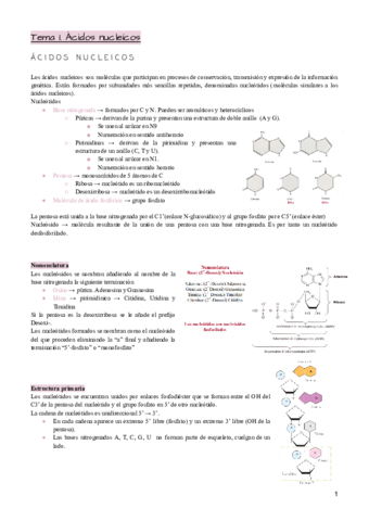 Tema-1.pdf