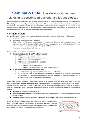 Seminario-C.pdf