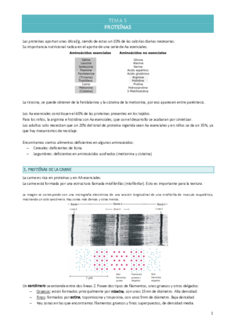 TEMA-5-Proteinas.pdf