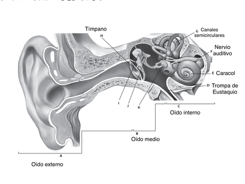 C8A80E54-AF99-4777-8D10-688B9FC6B578.jpg