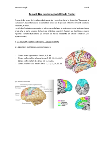 Neuropsicologia-T8.pdf