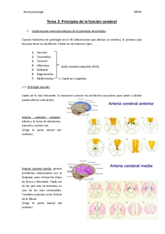 Neuropsicologia-T2.pdf