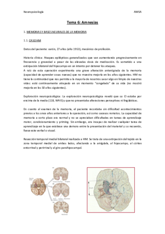 Neuropsicologia-T6.pdf