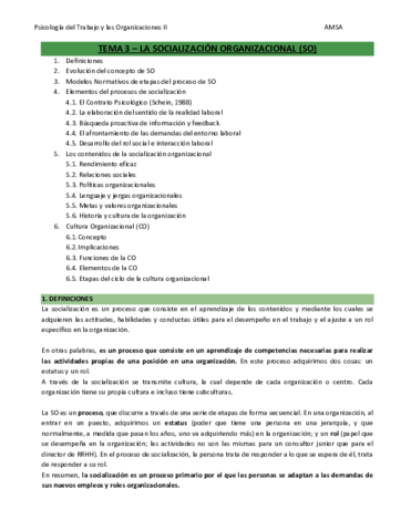 Ps-De-Trabajo-y-la-Organiz - T3.pdf