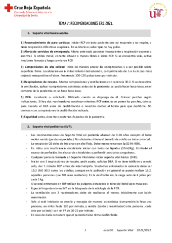 T7-Soporte.pdf