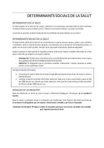 DETERMINANTS-SOCIALS-DE-LA-SALUT.pdf