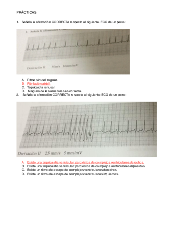 FisiopatoPraictico.pdf