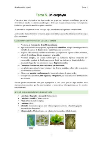 Biodiversidad-vegetal-Tema-5.pdf