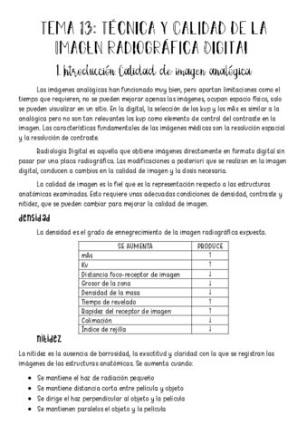 Fundamentos-Tema-13.pdf