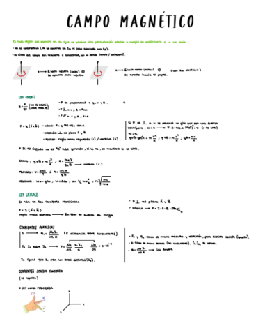 Campo-Magnetico-.pdf