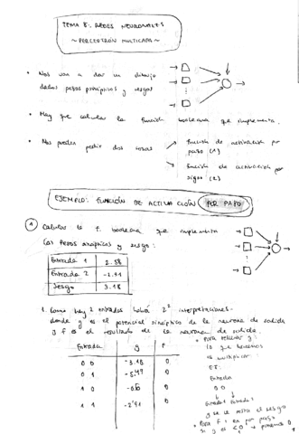 Redes-Neuronales-Apuntes-y-RelEj.pdf