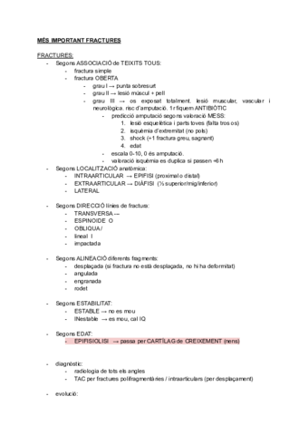 MES-IMPORTANT-FRACTURES-I-SIMULACIO.pdf