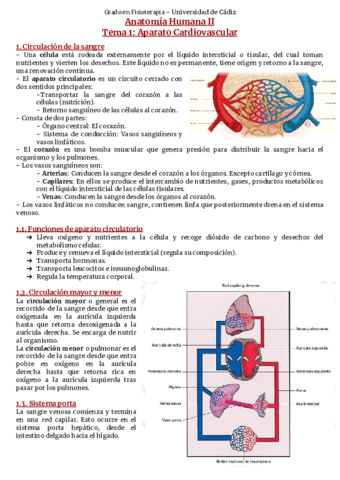 Tema-1-Cardiocirculatorio