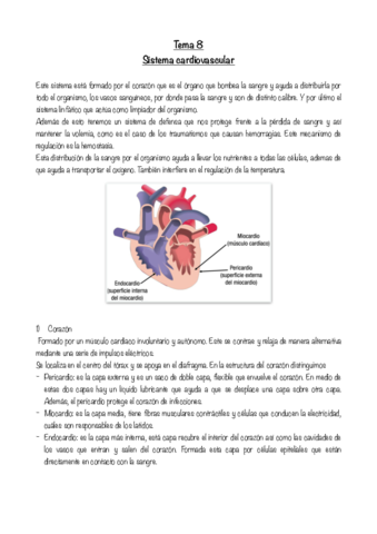Tema-8-sistema-cardiovascular-.pdf