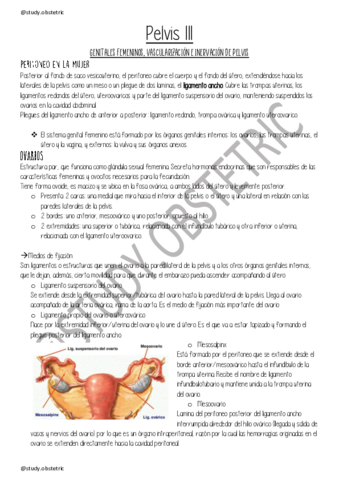 Pelvis-III.pdf