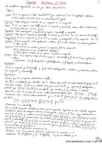 Resumen-Global-de-Supertopo-Toka.pdf
