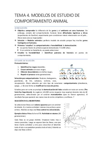 COMPORTAMIENTO-25-29.pdf