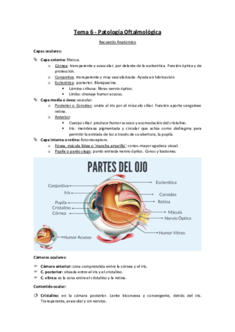 Tema-6-Patologia-Oftalmologica.pdf