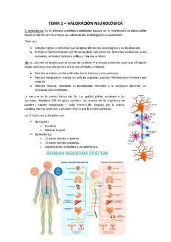 Tema-1-Valoracion-Neurologica.pdf