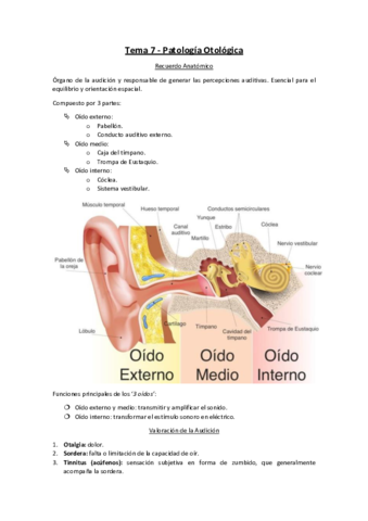 Tema-7-Patologia-Otologica.pdf