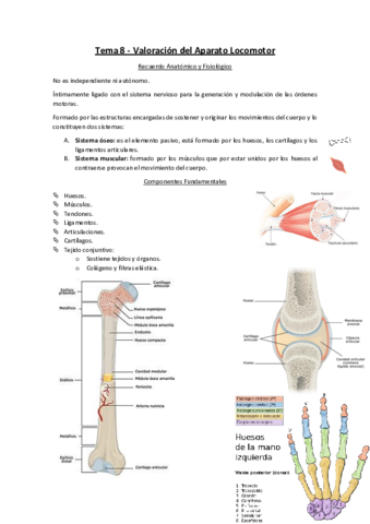 Tema-8-Valoracion-del-Aparato-Locomotor.pdf