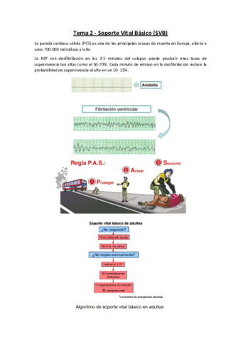 Tema-2-Soporte-Vital-Basico-SVB.pdf