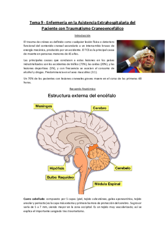 Tema-9-Enfermeria-en-la-Atencion-al-TCE.pdf
