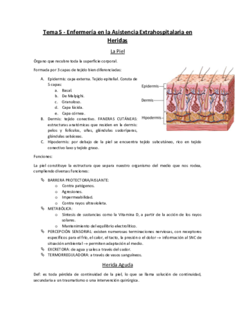 Tema-5-Enfermeria-en-la-Asistencia-Extrahospitalaria-en-Heridas.pdf