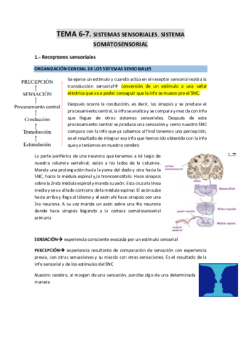 TEMA-6-7-Sistemas-sensoriales.pdf