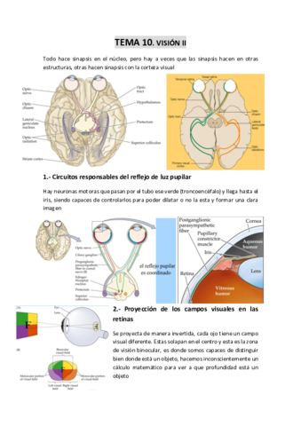 TEMA-10-La-vision-II.pdf