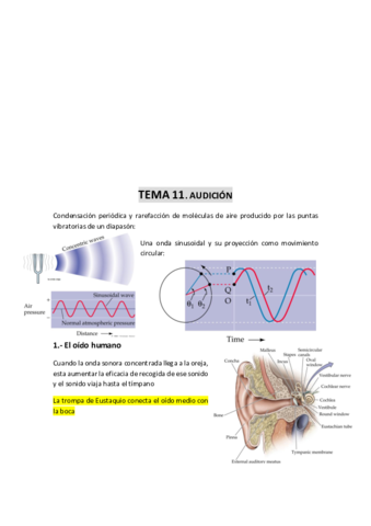 TEMA-11-Audicion.pdf