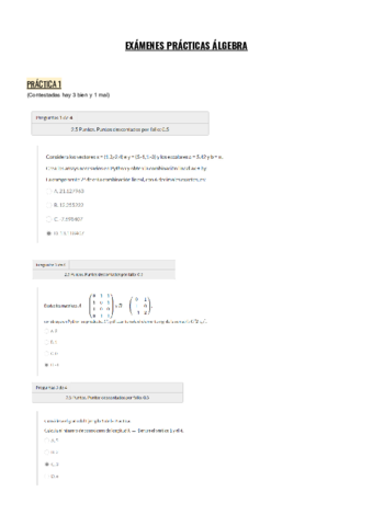 EXAMENES-PRACTICAS-ALGEBRA.pdf