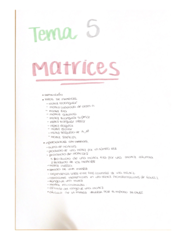 TEMA-5-MATRICES-.pdf