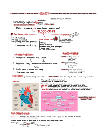 Biology-Nutrition-systems-II.pdf