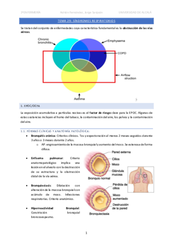 Tema-29-Sindromes-respiratorios.pdf