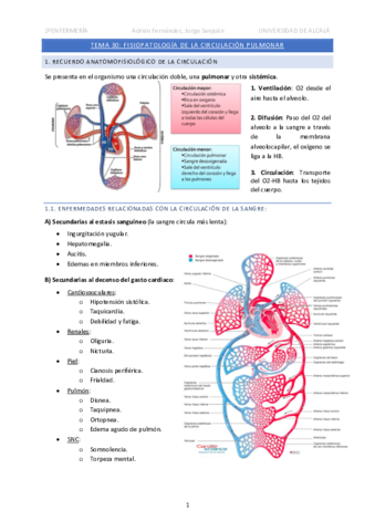 Tema-30-Circulacion-pulmonar.pdf
