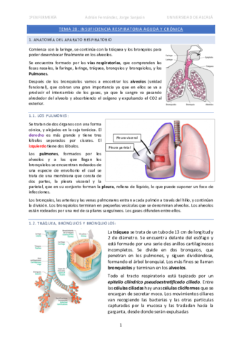Tema-28-Insuficiencia-respiratoria.pdf