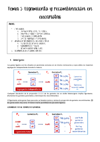 tema-5-genetica.pdf