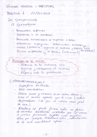 Practicas de Biologia Marina.PDF