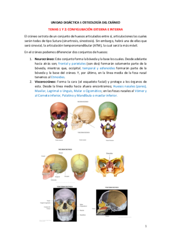 1o-parcial-anatomia.pdf