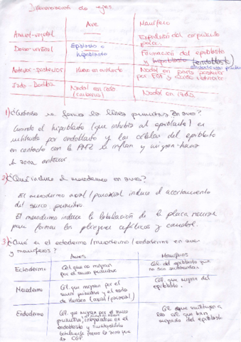 Posibles preguntas.PDF