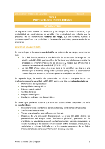 Tema-2-Potenciadores-del-riesgo.pdf