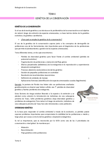 Tema-6-Genetica-de-la-Conservacion.pdf