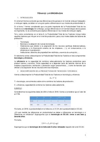 TEMA-8-EFICIENCIA.pdf