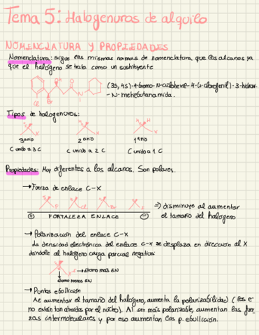 Apuntes-Limpio-Academiaorganized.pdf